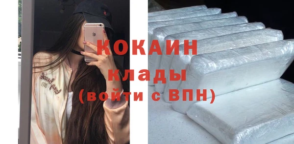 спайс Инта