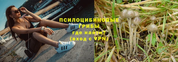 спайс Инта